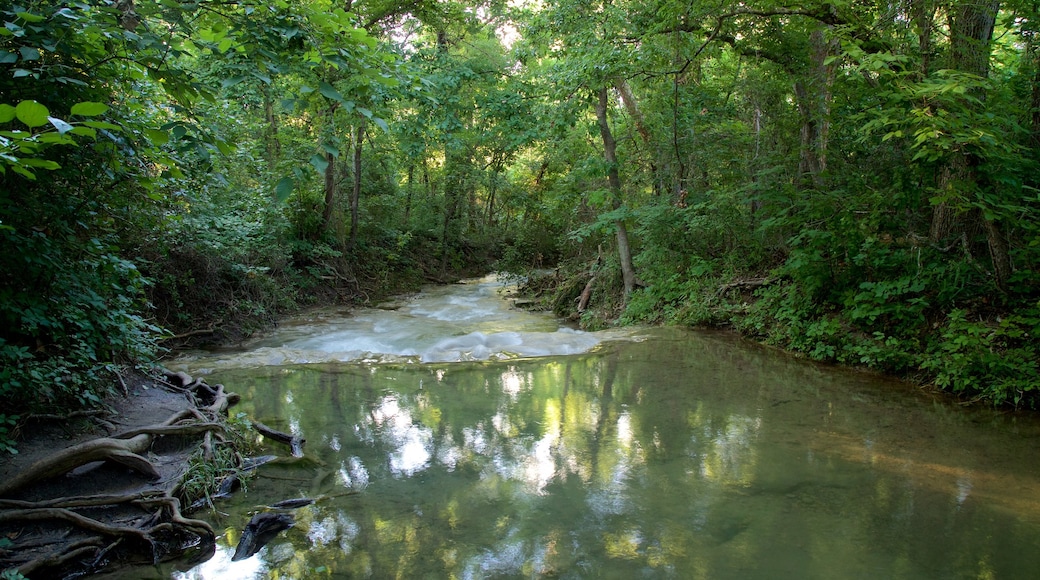 Chickasaw National Recreation Area showing forest scenes and a river or creek