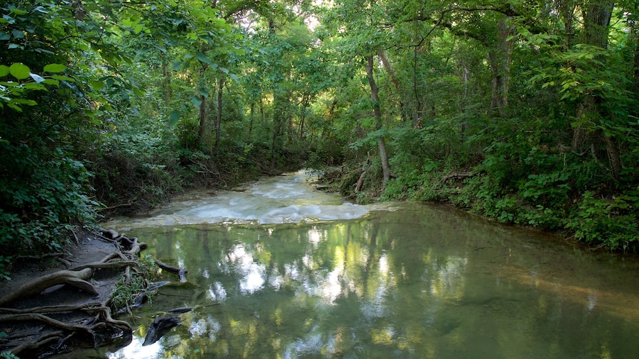 Lake of the Arbuckles
