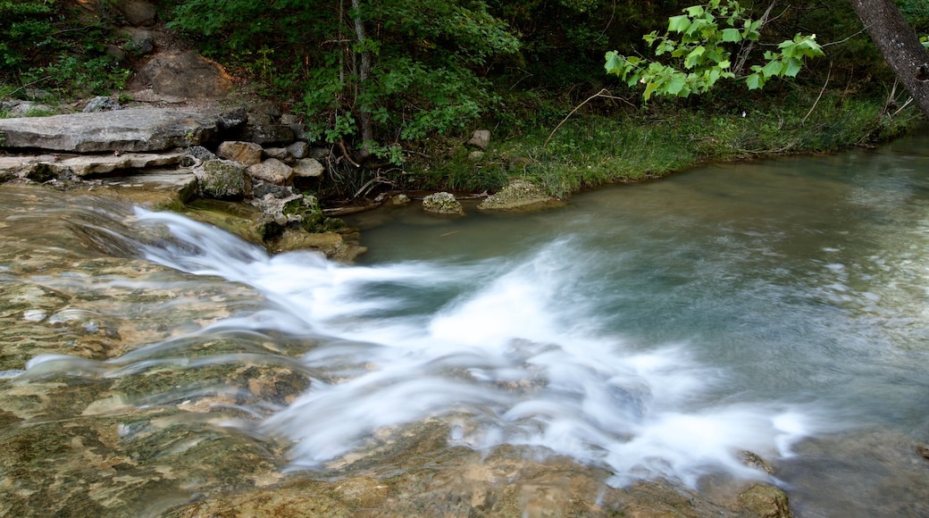 Chickasaw National Recreation Area som viser elv eller bekk