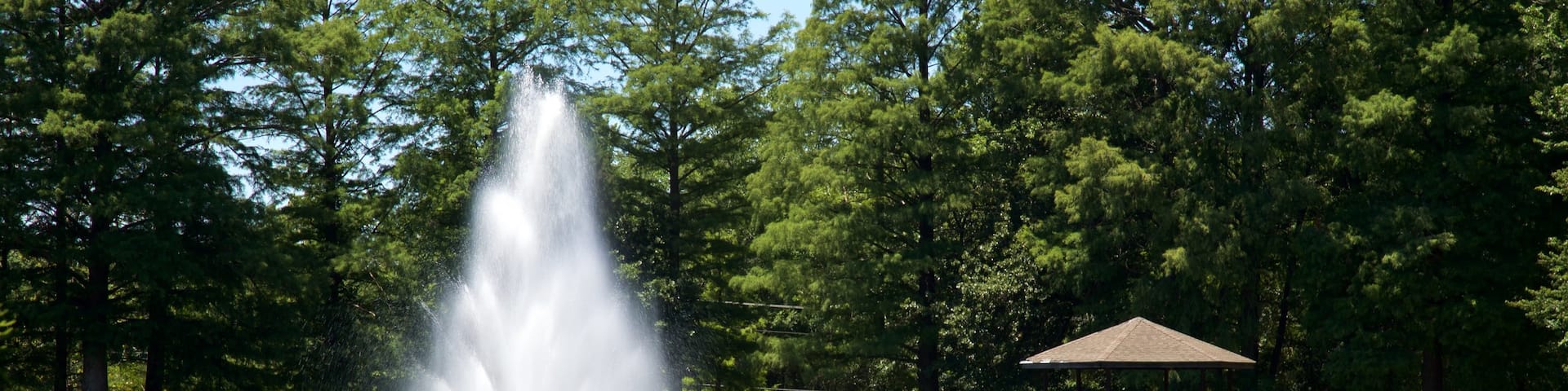 Honor Heights Park showing a pond and a fountain