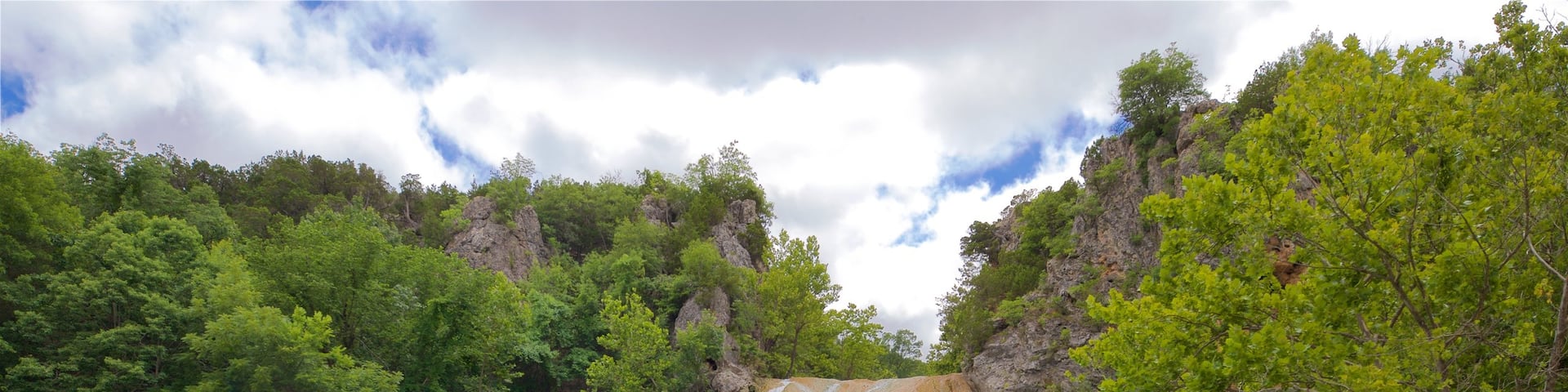 Turner Falls mit einem Schwimmen, See oder Wasserstelle und Wasserfall