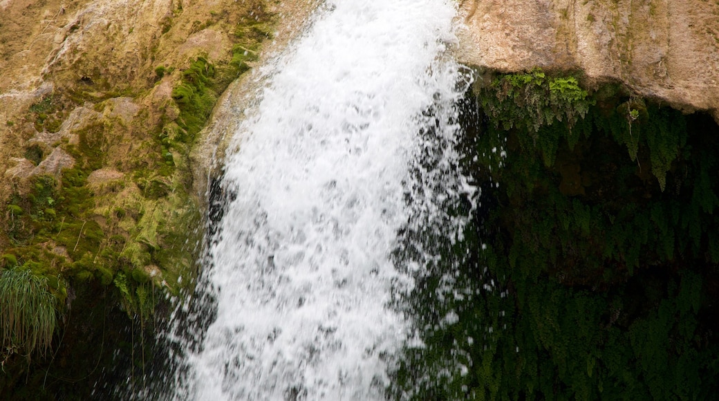 Turner Falls featuring a waterfall