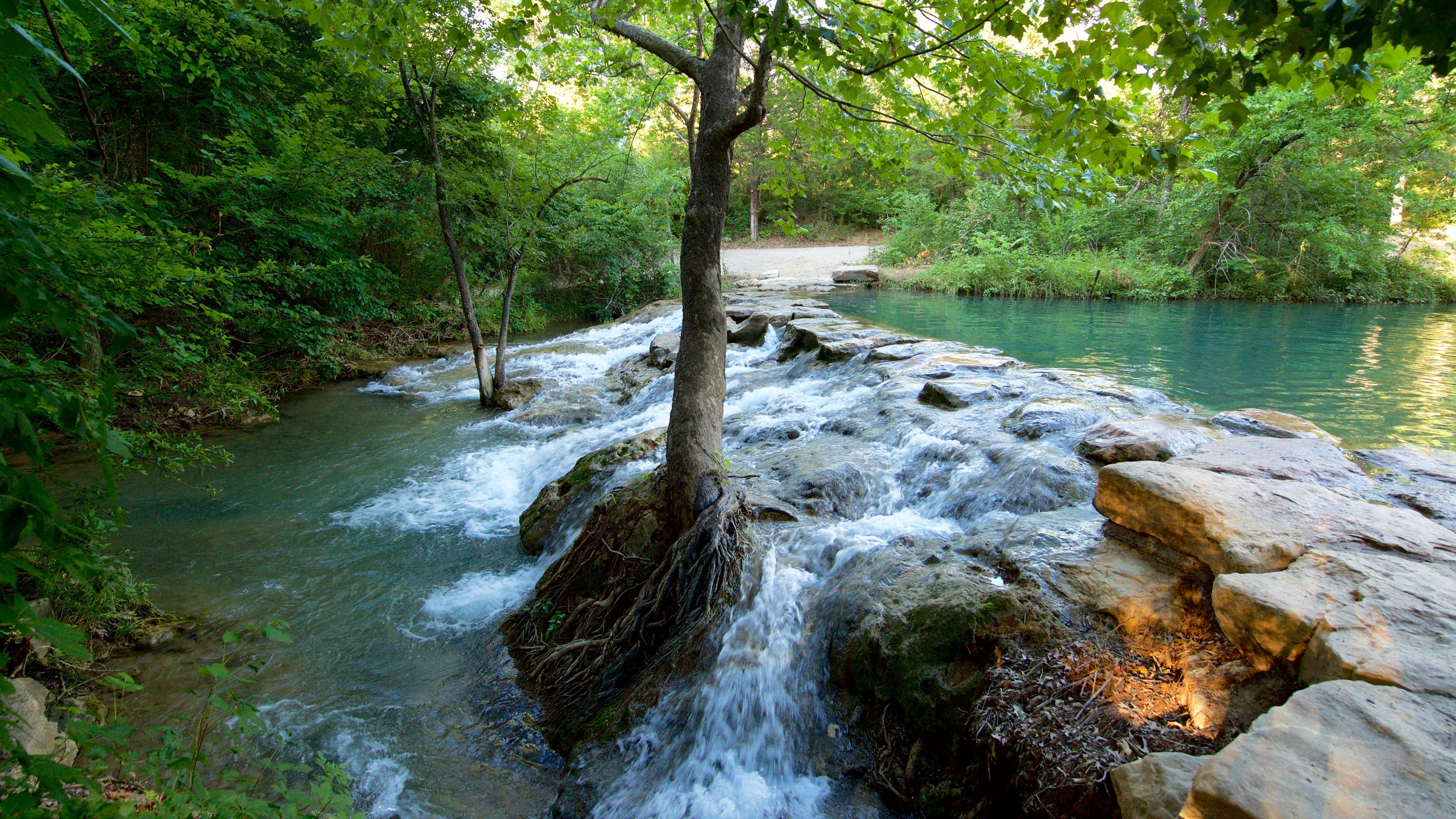 Chickasaw National Recreation Area welches beinhaltet Fluss oder Bach