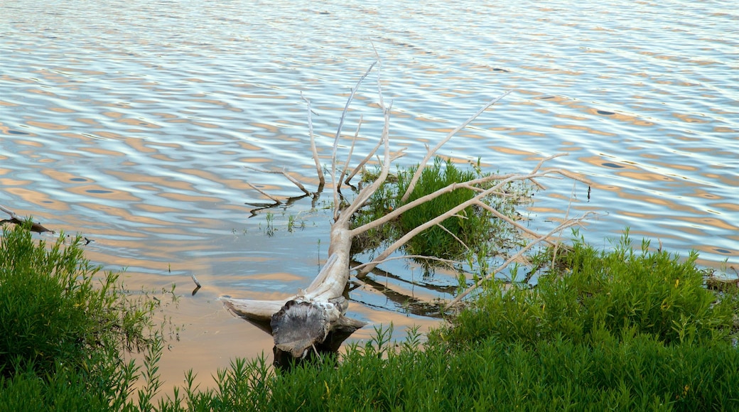 Veterans Lake 其中包括 湖泊或水池