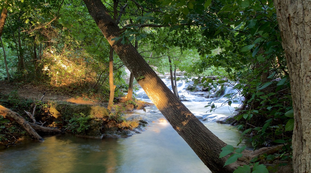 Chickasaw National Recreation Area som inkluderar skogar och en å eller flod