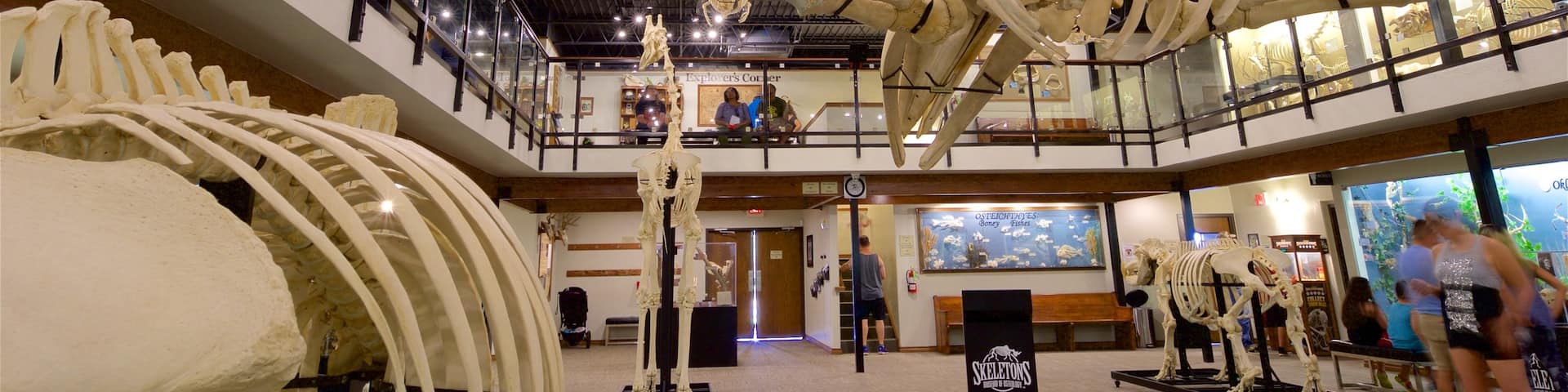 Museum of Osteology which includes interior views