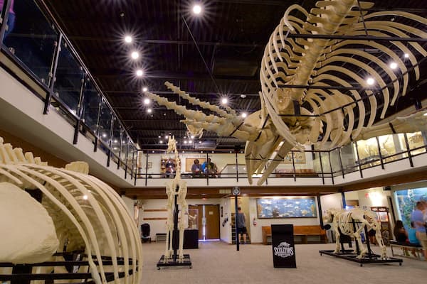 Museum of Osteology which includes interior views