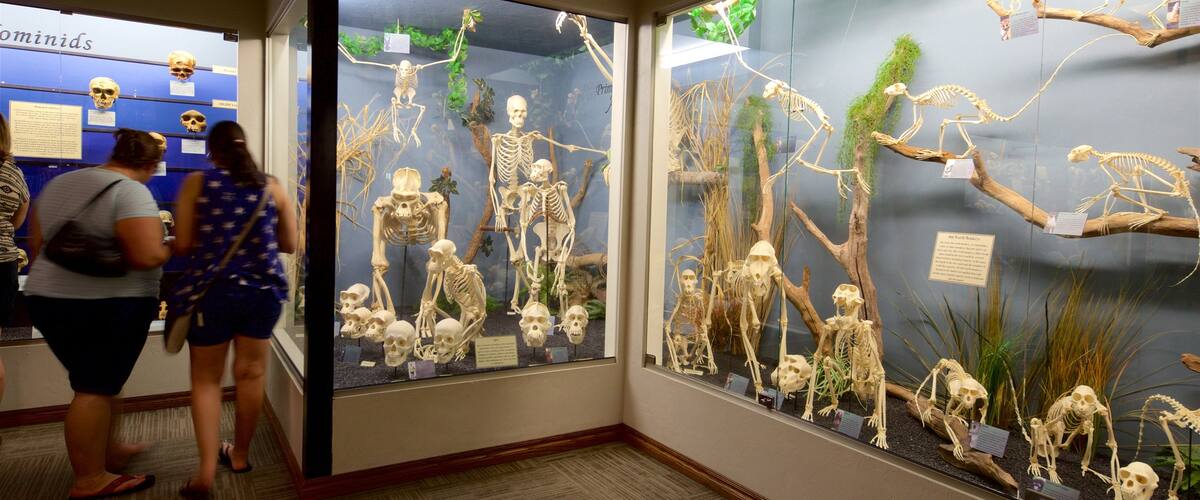 Museum of Osteology which includes interior views as well as a couple