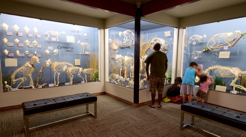 Museum of Osteology presenterar interiörer såväl som en familj