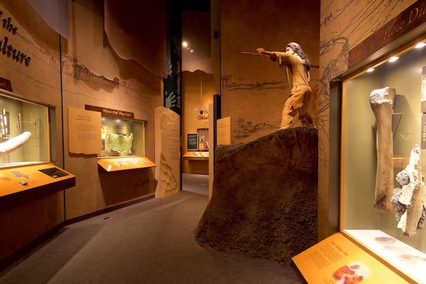 Muséum d\'histoire naturelle d\'Oklahoma Sam Noble qui includes vues intérieures