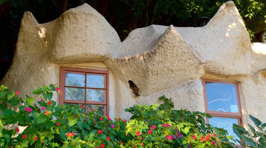 The Cave House che include fiori di campo, casa e oggetti d\'epoca