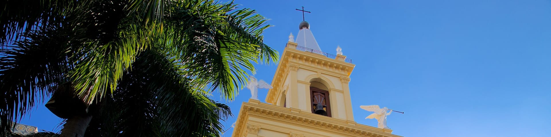 Metropolitan Cathedral of Campinas showing heritage architecture and a church or cathedral
