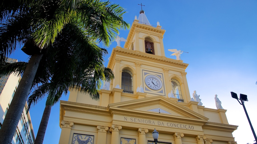 Cathédrale métropolitaine de Campinas mettant en vedette patrimoine architectural et église ou cathédrale