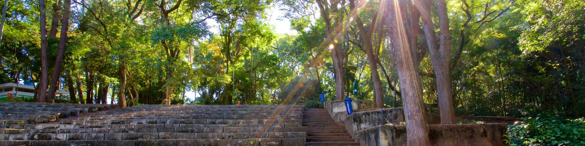 Portugal Park featuring a park