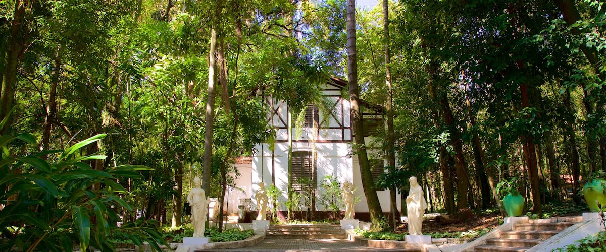 Jequitibas Forest showing a garden and a statue or sculpture