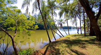 Lac Taquaral mettant en vedette parc et rivière ou ruisseau