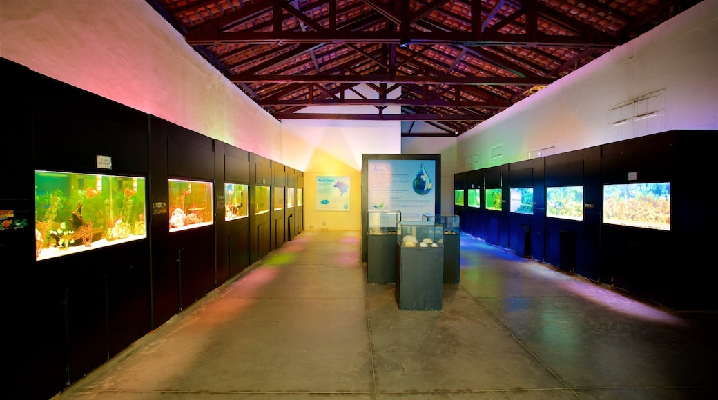 Aquarium municipal mettant en vedette vues intérieures et vie marine