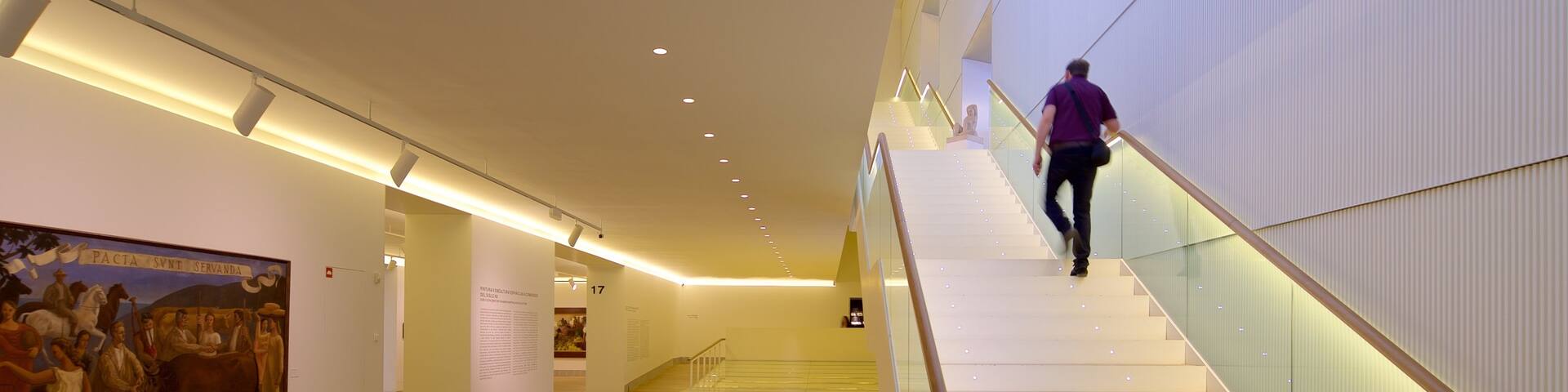 Museum of Fine Arts showing art and interior views as well as an individual male