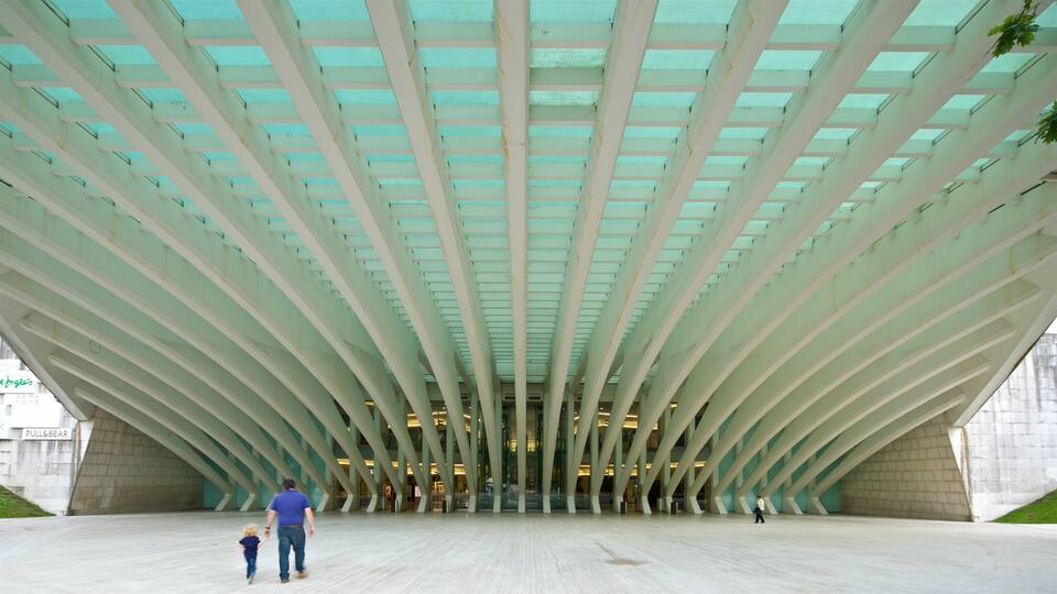 Palacio de Exposiciones y Congresos ofreciendo arquitectura moderna y también una familia