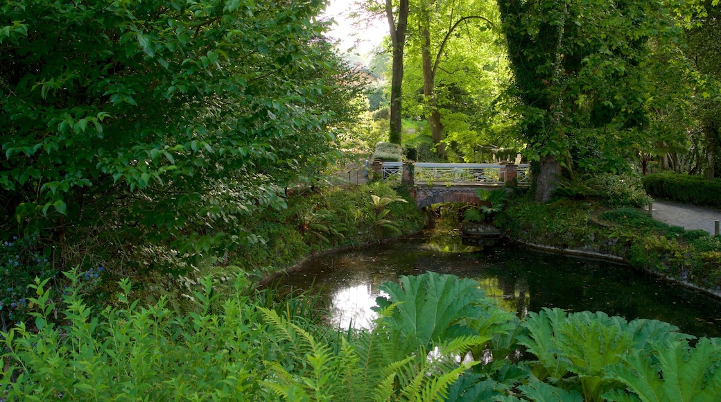 Jardín Botánico Atlántico som inkluderar skogslandskap, en å eller flod och en bro