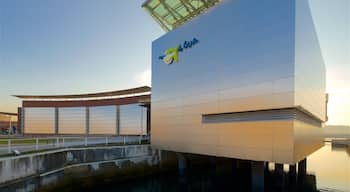 Aquarium of Gijon showing modern architecture, a sunset and signage