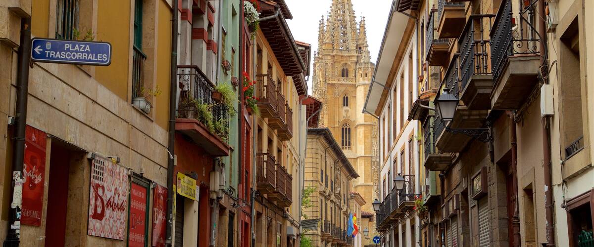 Casco antiguo mostrando elementos patrimoniales y una ciudad
