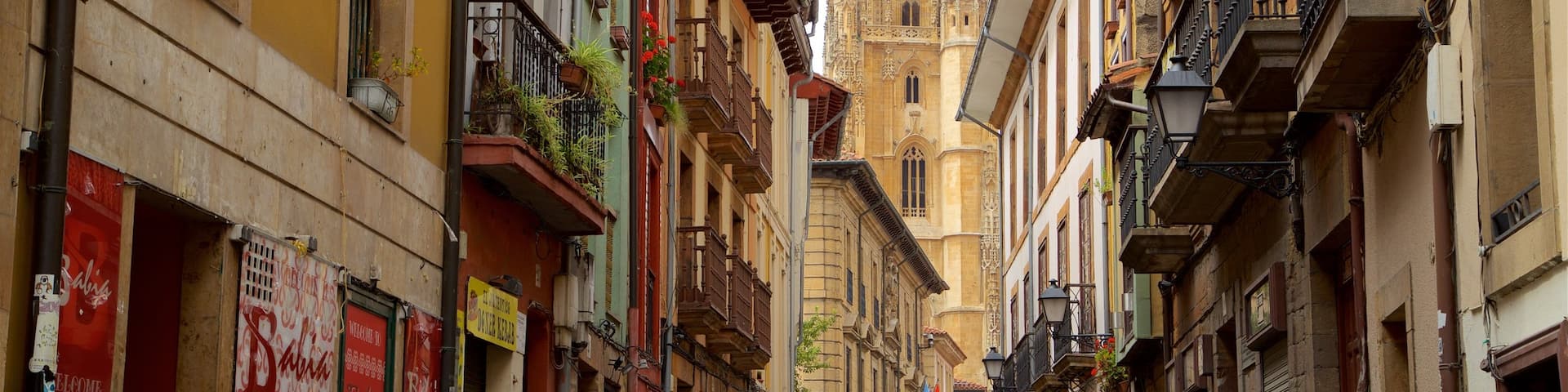 Altstadt mit einem Geschichtliches und Stadt