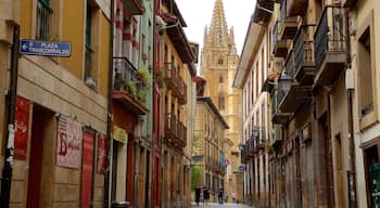 Casco antiguo mostrando elementos patrimoniales y una ciudad