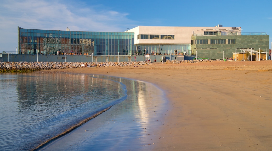 Talasoponiente que incluye una playa de arena, vista general a la costa y una ciudad costera