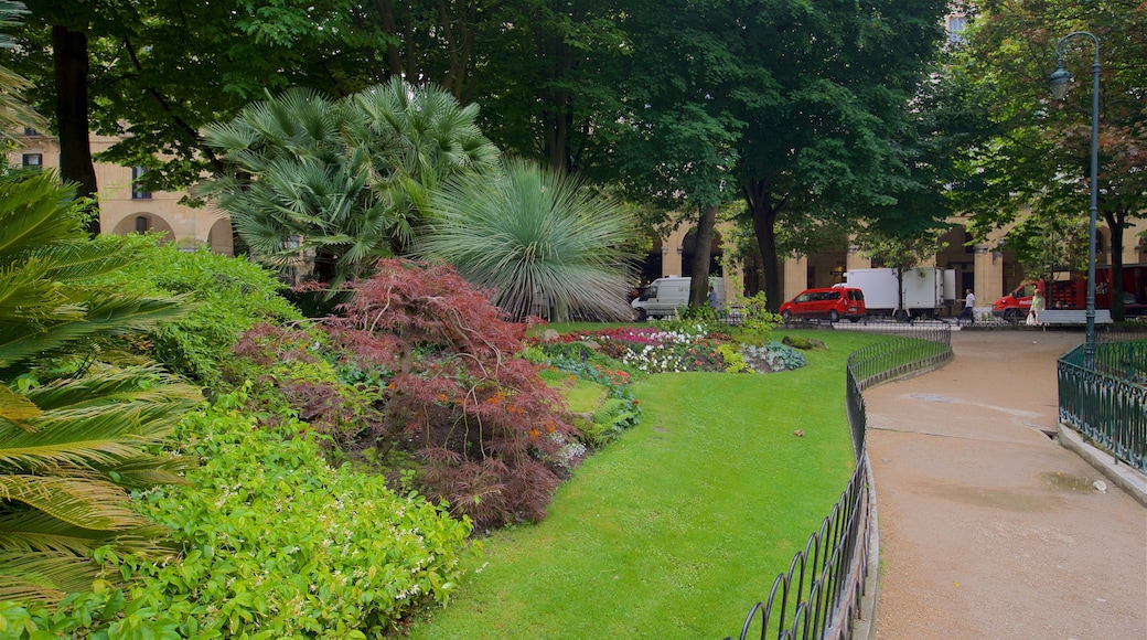 Plaza Gipuzkoa showing flowers and a garden