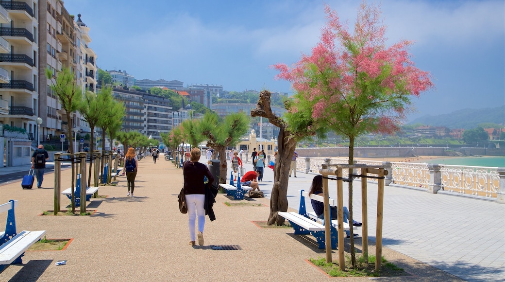 Paseo marítimo de La Concha mostrando una ciudad costera, vistas generales de la costa y escenas urbanas