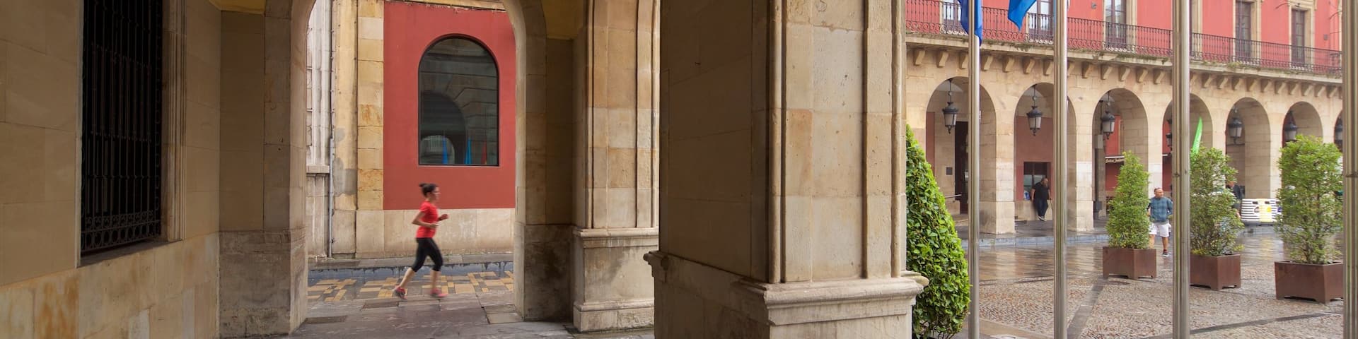Plaza Mayor which includes heritage elements