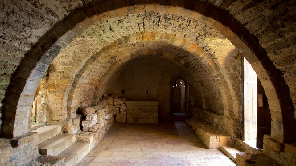 納蘭科山聖母瑪麗亞教堂 呈现出 內部景觀 和 懷舊元素