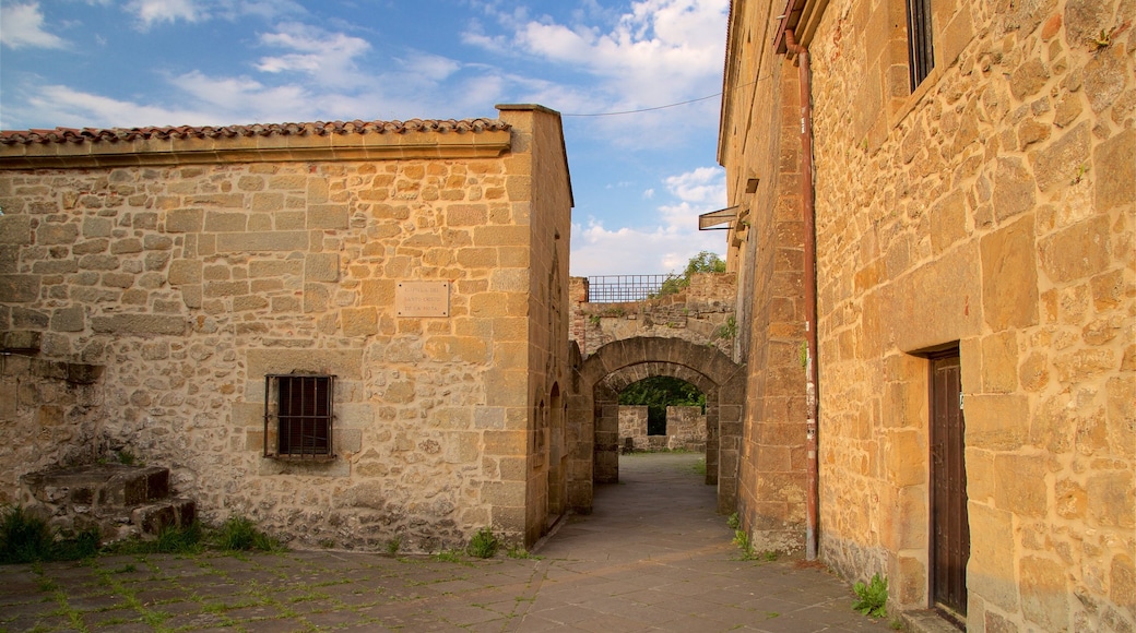 Castillo de la Mota ofreciendo elementos patrimoniales