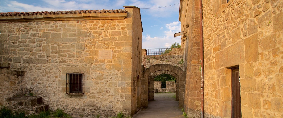 Castillo de la Mota showing heritage elements