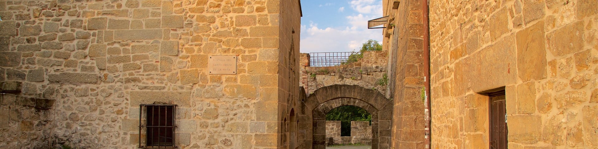 Castillo de la Mota showing heritage elements