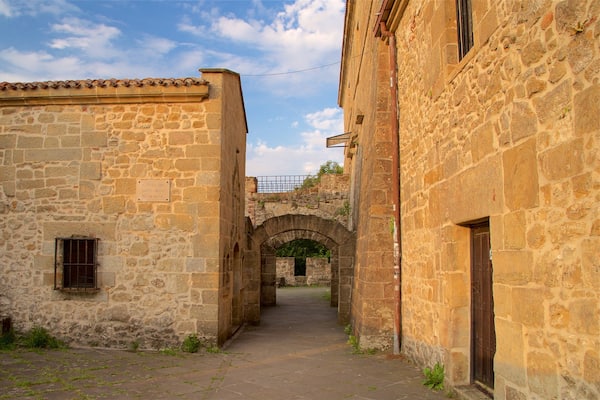 Castillo de la Mota featuring heritage elements