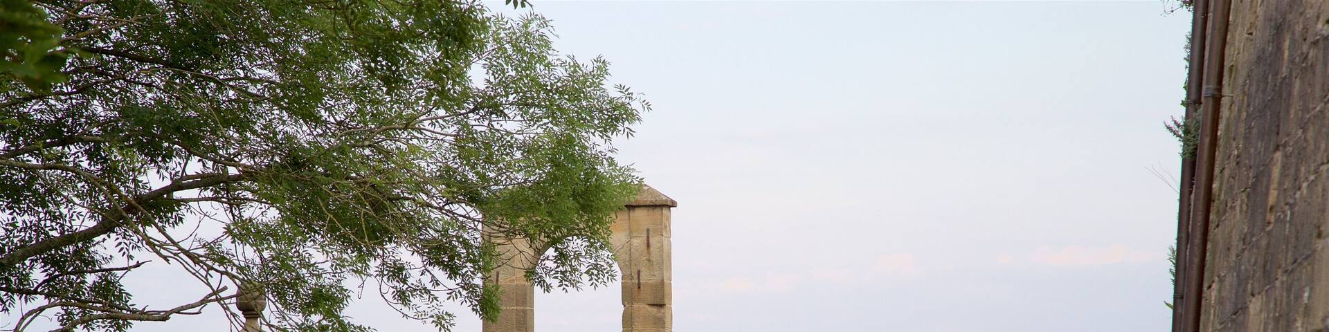Castillo de la Mota which includes tranquil scenes and heritage elements