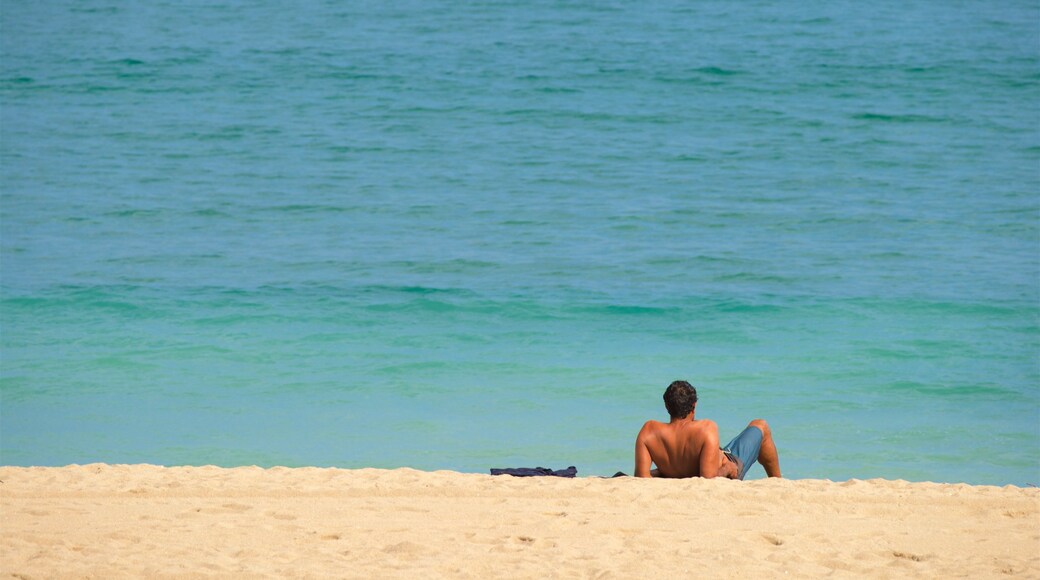 Spiaggia di Zurriola mostrando vista della costa e spiaggia cosi come ragazzo