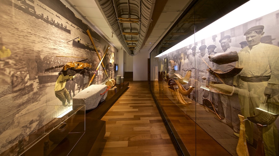 Museo San Telmo toont historisch erfgoed en interieur