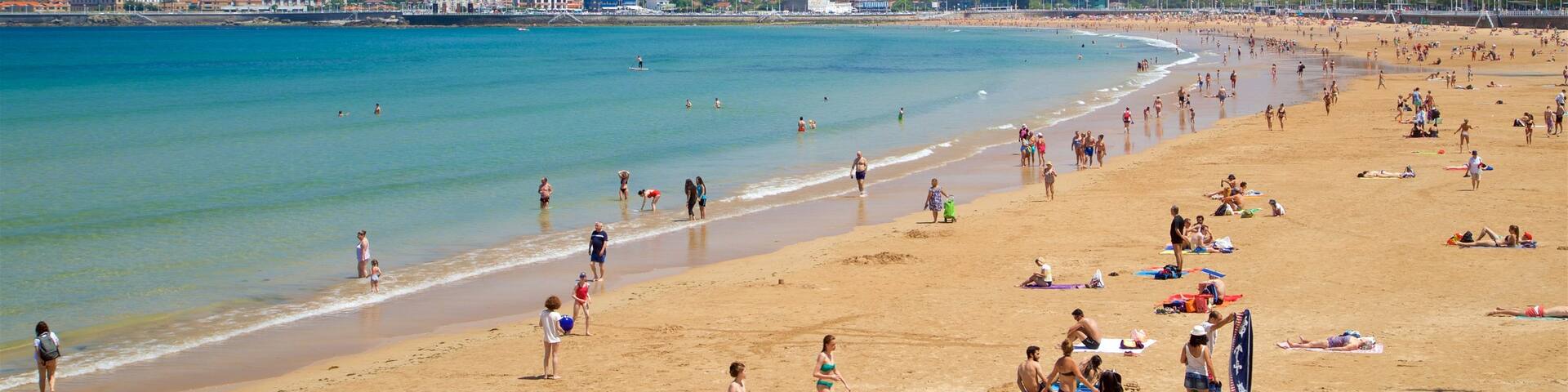 Plage de San Lorenzo qui includes ville cĂŽtiĂšre, vues littorales et plage