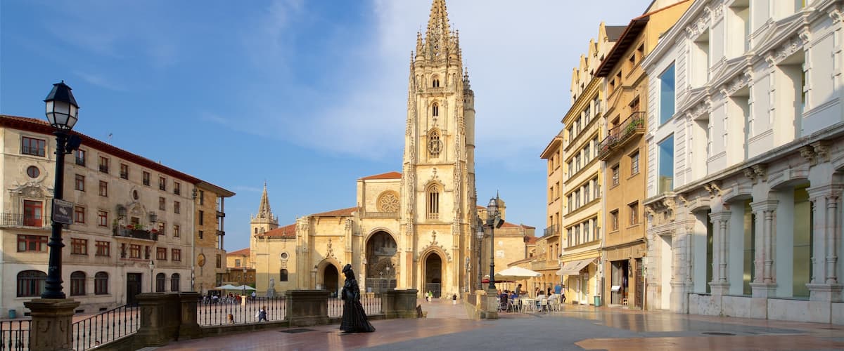 Catedral de Oviedo ofreciendo un parque o plaza, una iglesia o catedral y patrimonio de arquitectura