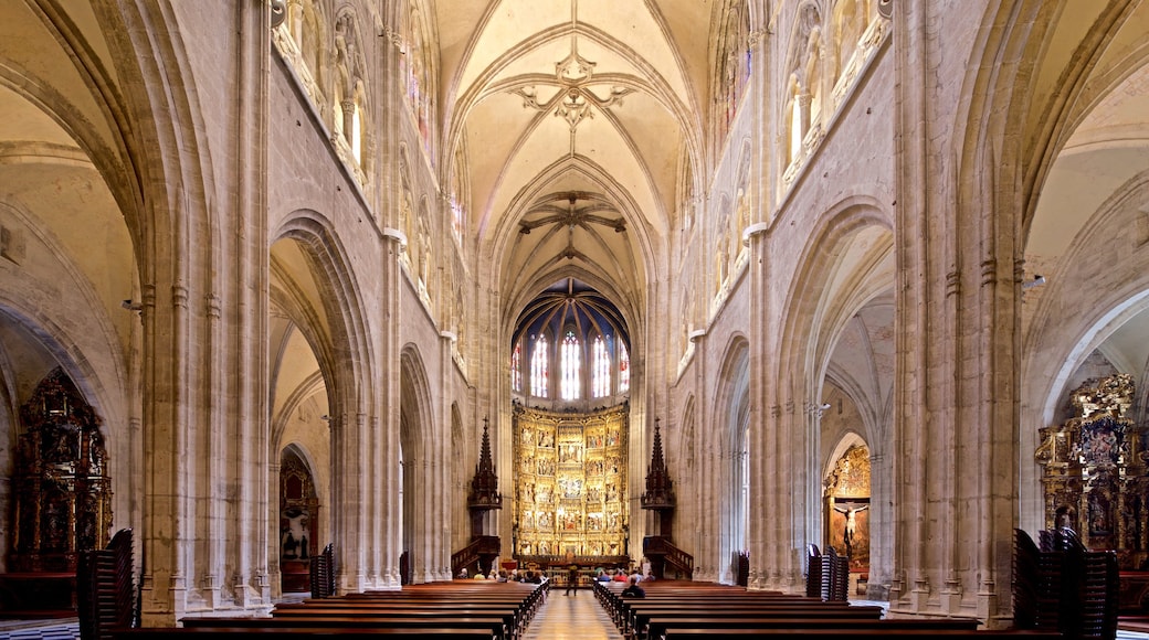 Oviedo Cathedral showing interior views, a church or cathedral and heritage elements