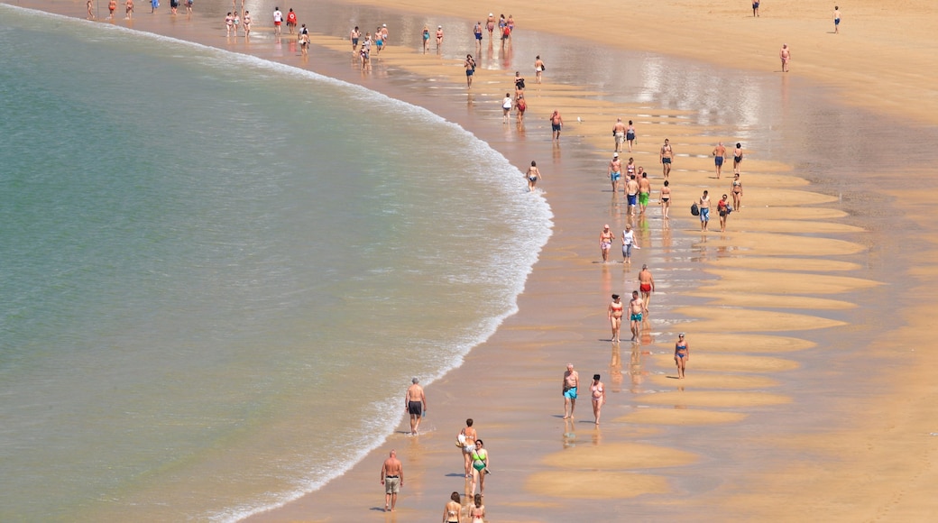 Playa de la Concha que incluye vistas generales de la costa y una playa de arena y también un pequeño grupo de personas