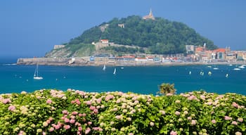 Miramar Palace showing general coastal views, flowers and a coastal town