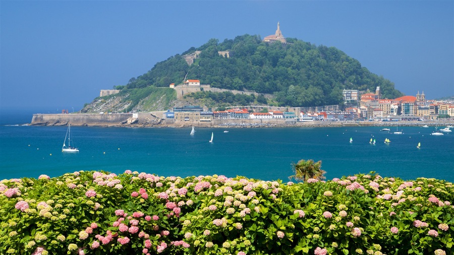 Palacio de Miramar mostrando una localidad costera, vistas de una costa y flores
