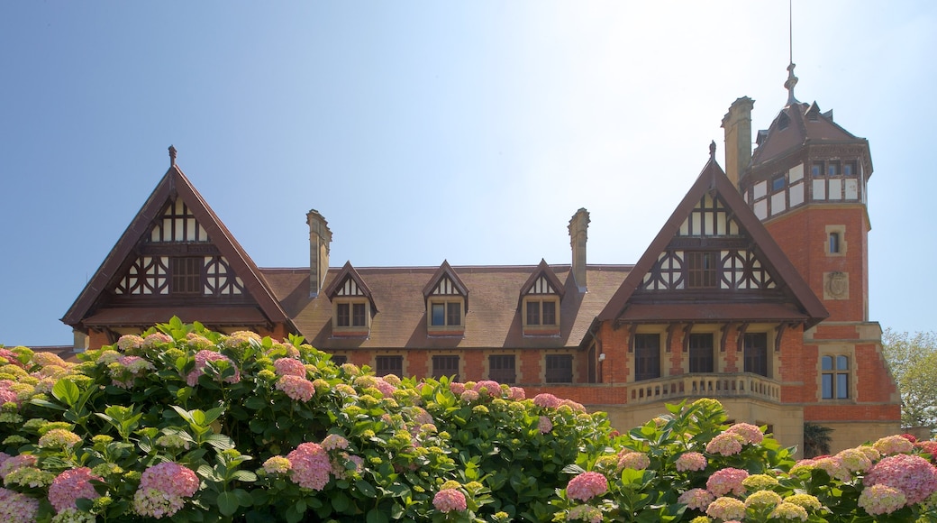 Palais de Miramar montrant patrimoine architectural, fleurs et maison