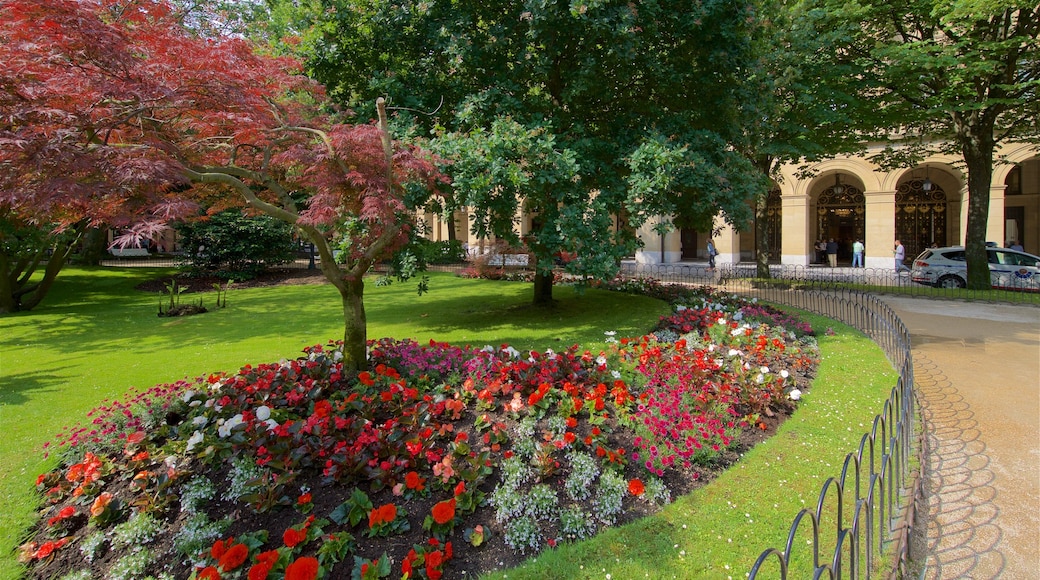 Plaza Gipúzkoa mostrando flores y un parque