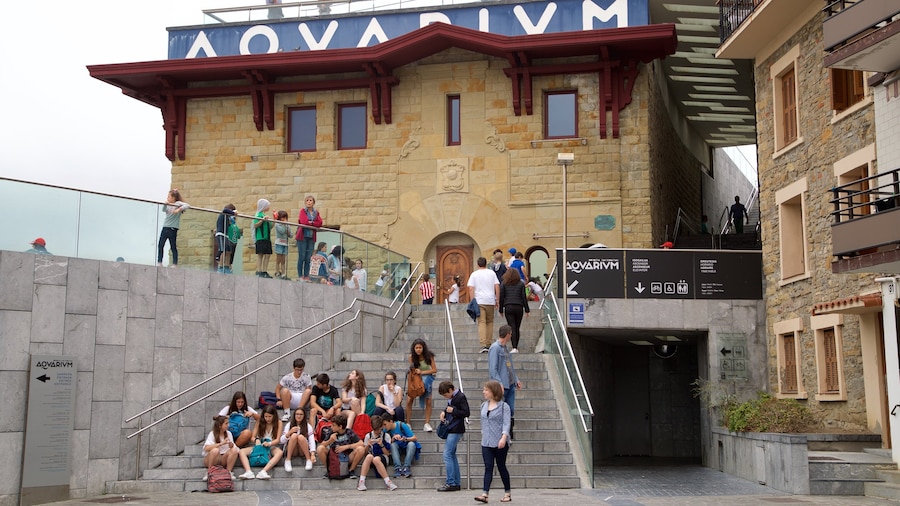 Donostia-San Sebastian Akvarium såvel som en lille gruppe mennesker