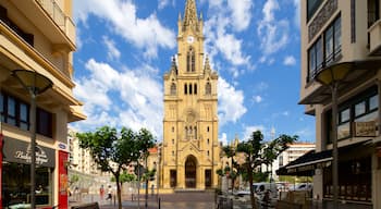 Iglesia de San Ignacio johon kuuluu vanha arkkitehtuuri ja kirkko tai katedraali